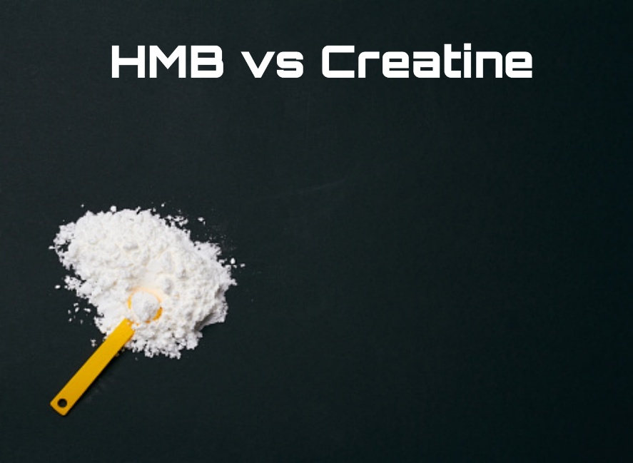 HMB vs Creatine And Can we take HMB and Creatine together?