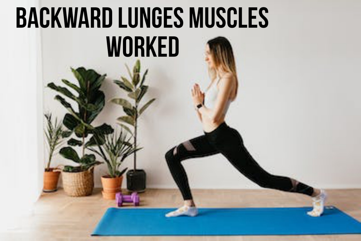 Backward Lunges Muscles Worked | Is it better to lunge back and forth?