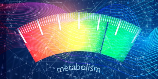 How To Find Out Your Metabolic Type | Body types | Metabolic Test